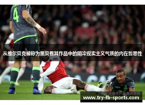 从维尔贝克被称为黑贝看其作品中的阴冷现实主义气质的内在哲思性