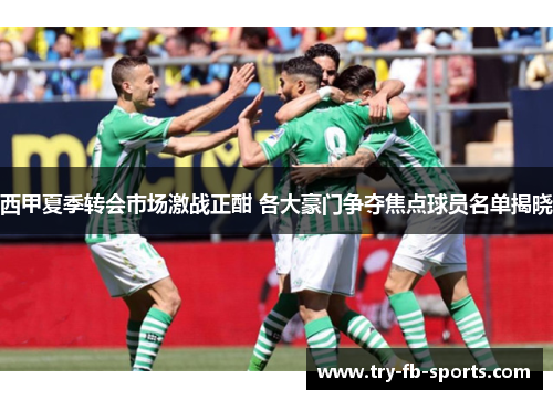 西甲夏季转会市场激战正酣 各大豪门争夺焦点球员名单揭晓